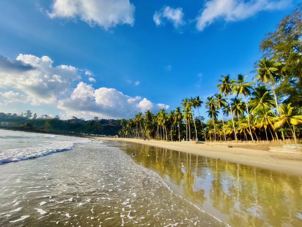 Palm-lined Corbyn's Cove beach